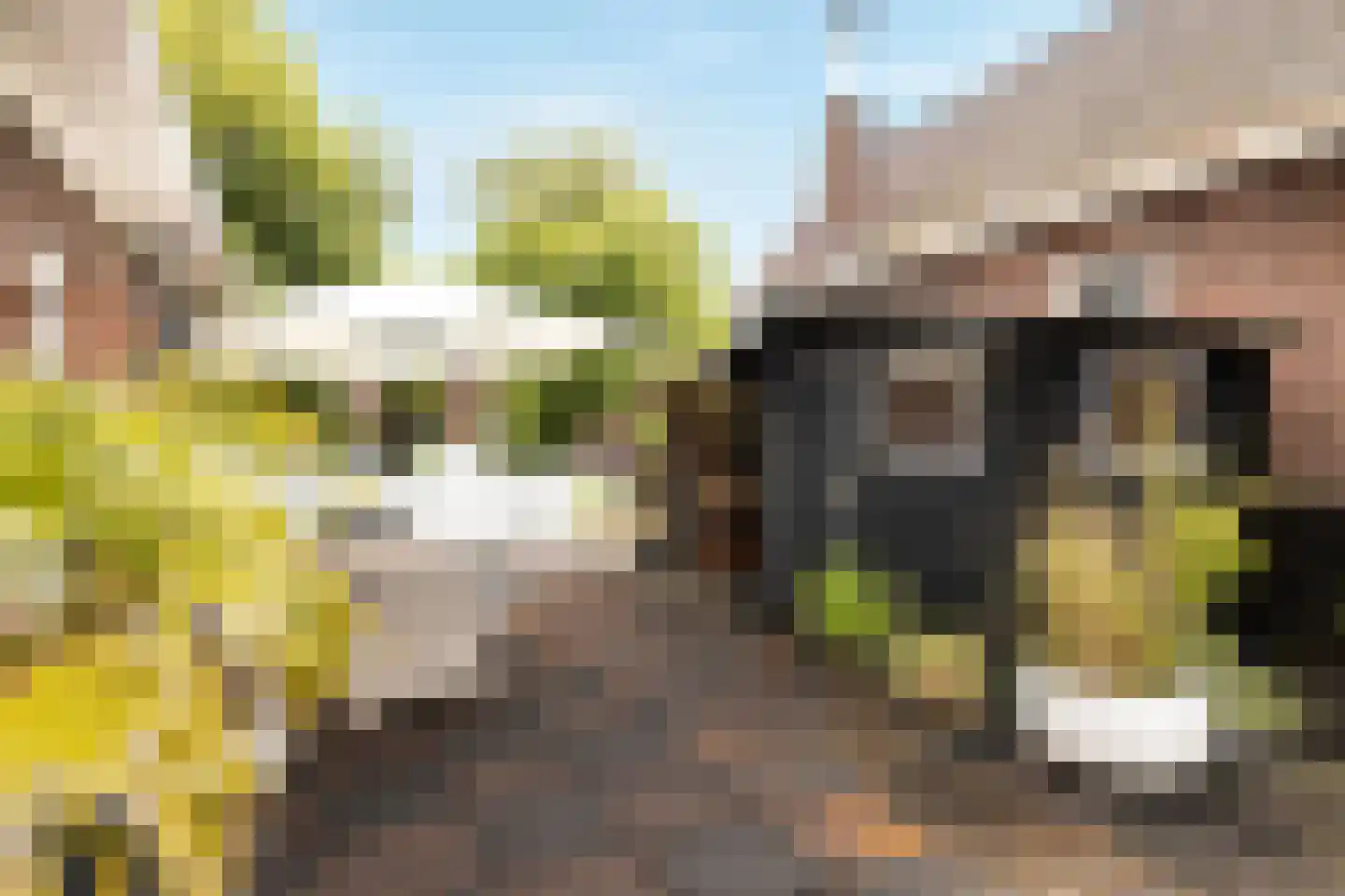 Scheijbeecklaan 32 Beverwijk thumbnail 61
