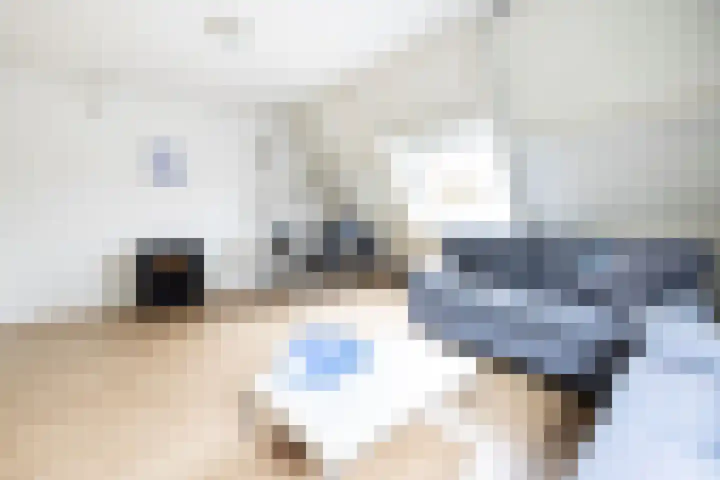 Scheijbeecklaan 32 Beverwijk thumbnail 64