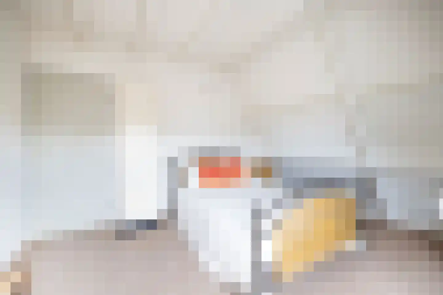 Scheijbeecklaan 32 Beverwijk thumbnail 69
