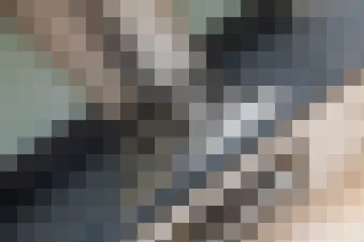 Scheisloot 22 Bodegraven thumbnail 11