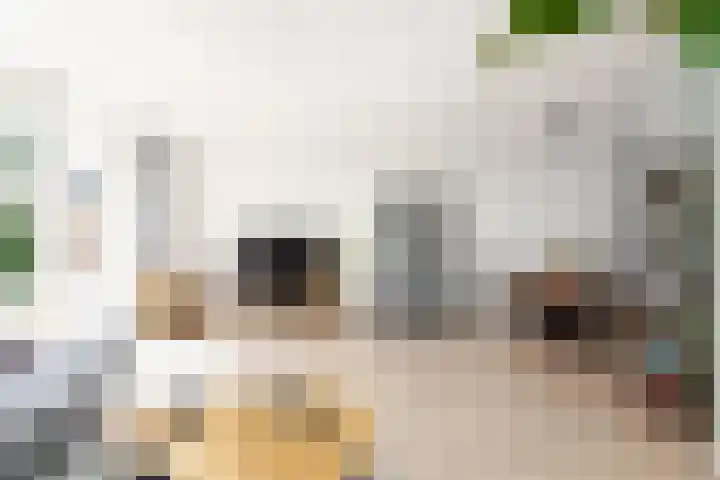 Scheisloot 22 Bodegraven thumbnail 7