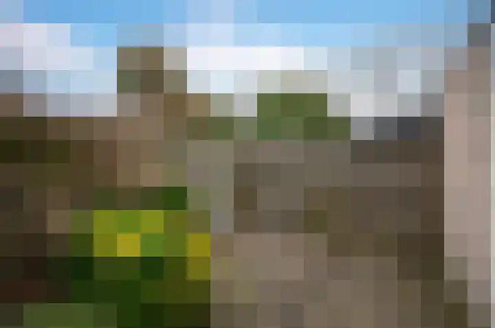 Scheisloot 28 Bodegraven thumbnail 16