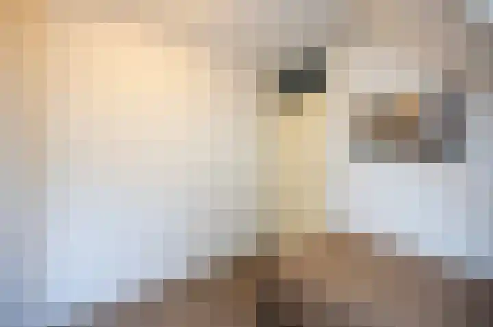 Scheisloot 28 Bodegraven thumbnail 22