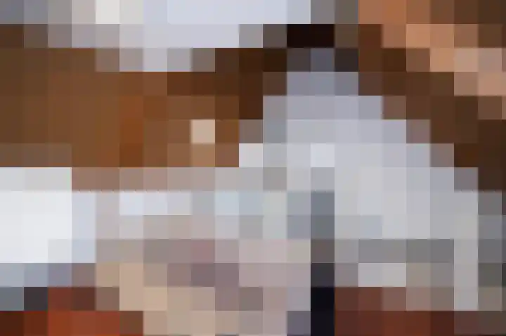 Scheisloot 28 Bodegraven thumbnail 29