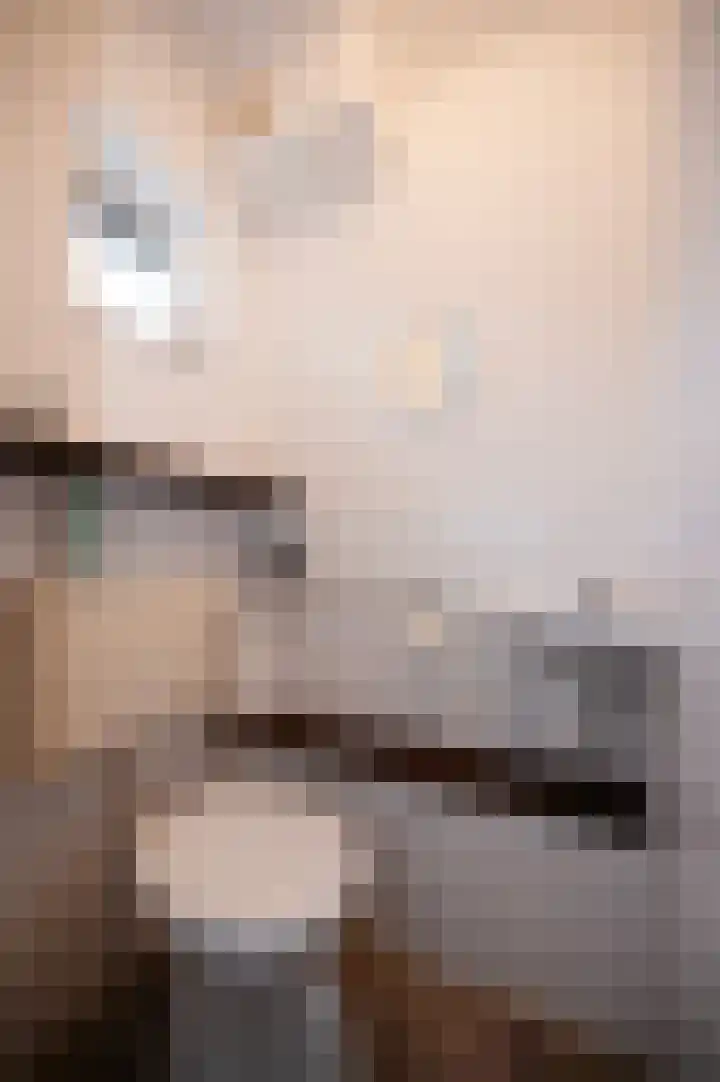 Scheisloot 28 Bodegraven thumbnail 6