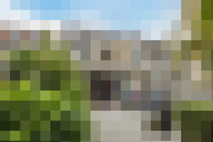 Scheisloot 34 Bodegraven thumbnail 17