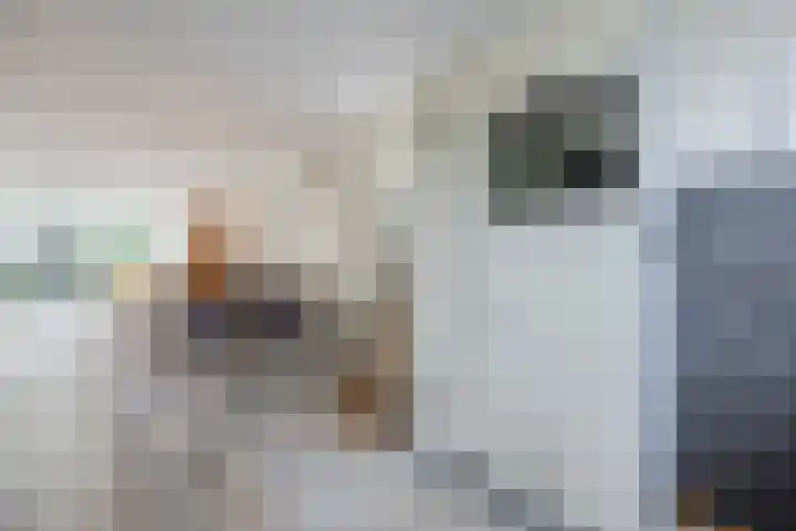 Scheisloot 34 Bodegraven thumbnail 23