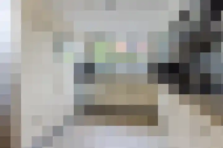 Scheisloot 34 Bodegraven thumbnail 24
