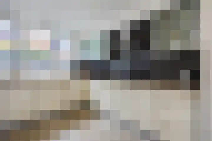 Scheisloot 34 Bodegraven thumbnail 25
