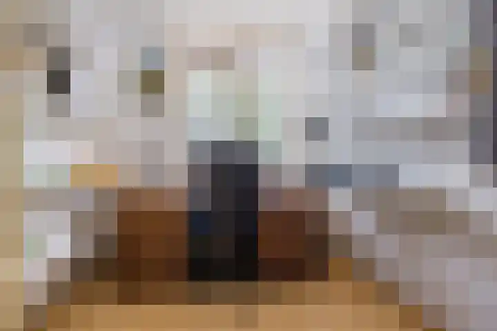 Scheisloot 34 Bodegraven thumbnail 29