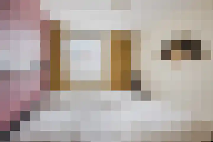 Scheisloot 34 Bodegraven thumbnail 32