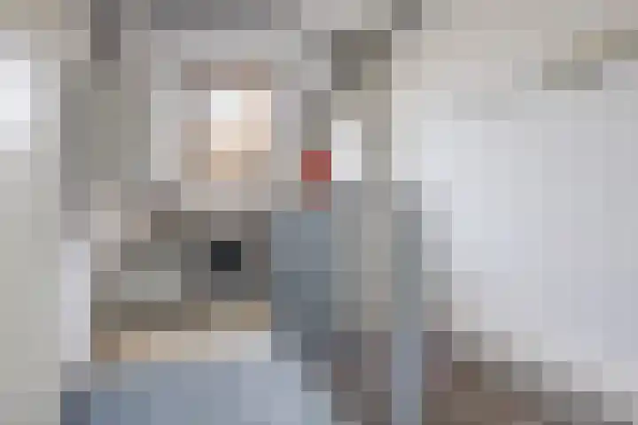 Scheisloot 34 Bodegraven thumbnail 39