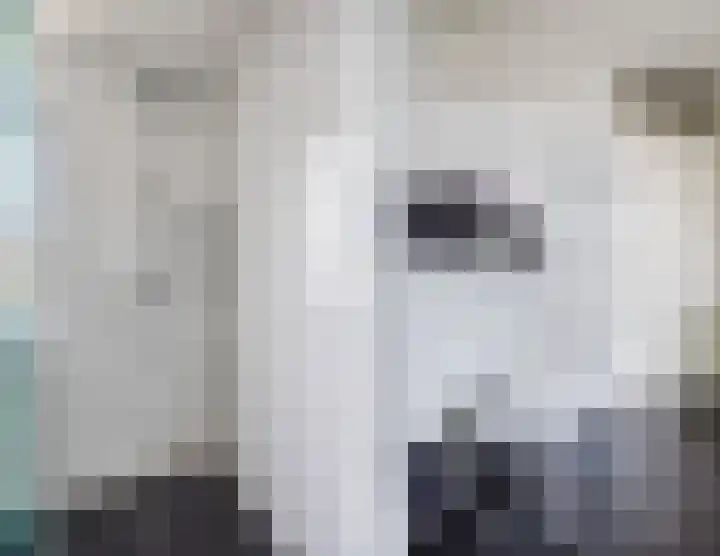 Scheisloot 34 Bodegraven thumbnail 4