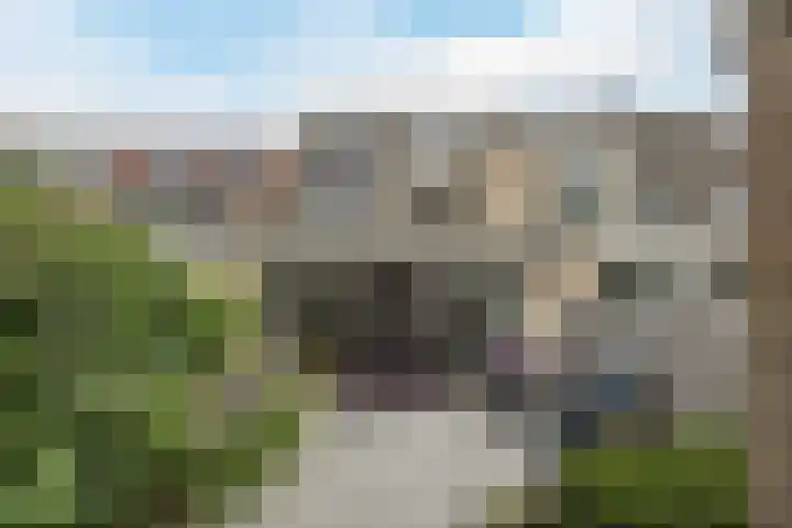 Scheisloot 34 Bodegraven thumbnail 42