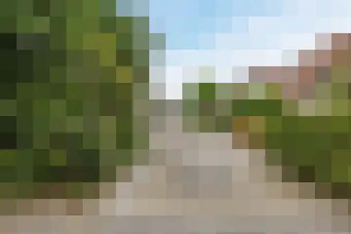 Scheisloot 34 Bodegraven thumbnail 50