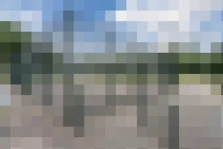 Scheisloot 34 Bodegraven thumbnail 53