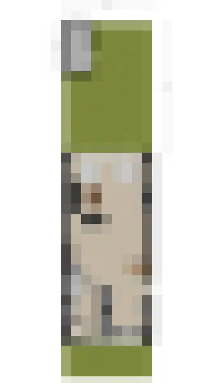 Scheisloot 34 Bodegraven thumbnail 59