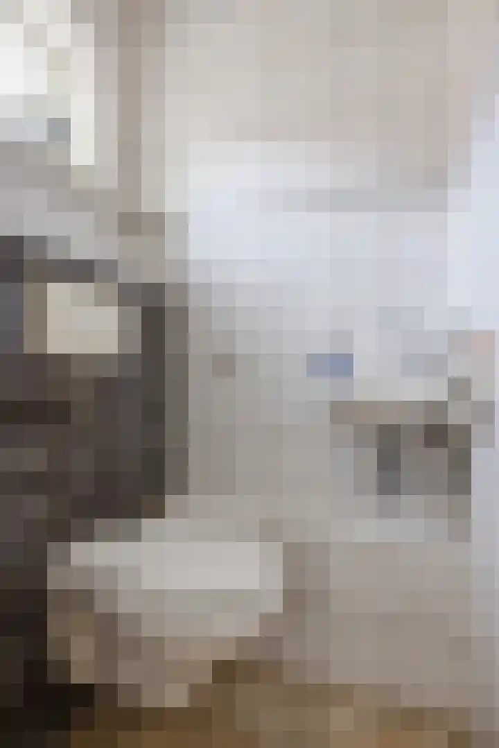 Scheisloot 34 Bodegraven thumbnail 8