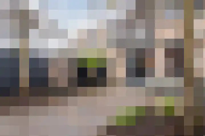 Scheisloot 38 Bodegraven thumbnail 37