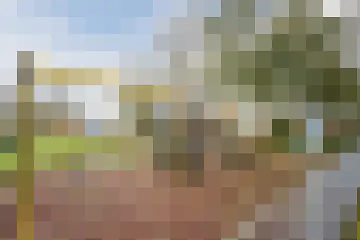 Scheisloot 38 Bodegraven thumbnail 41
