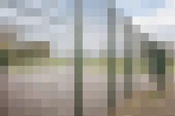 Scheisloot 38 Bodegraven thumbnail 42