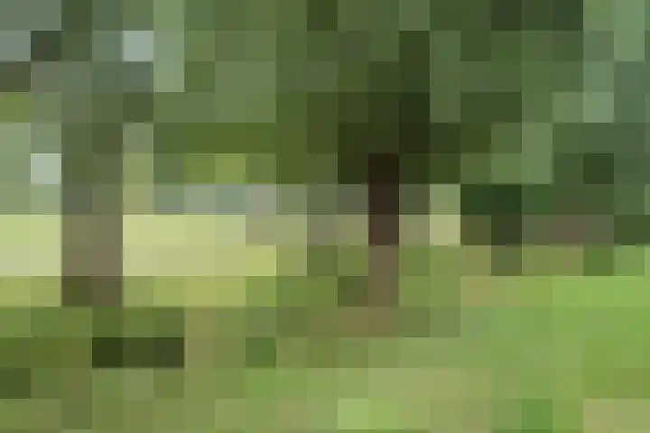 Scheisloot 38 Bodegraven thumbnail 43