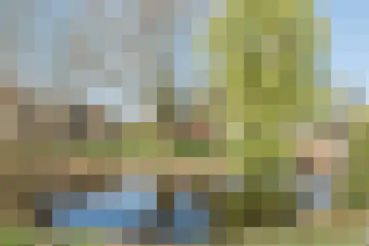 Scheisloot 38 Bodegraven thumbnail 44