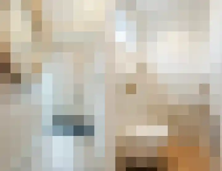 Scheisloot 38 Bodegraven thumbnail 9