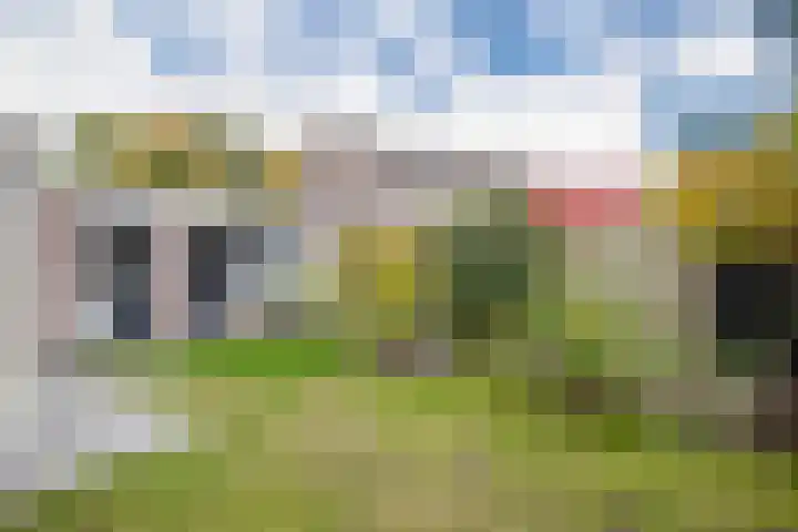 Scheisprong 28 Westervoort thumbnail 29