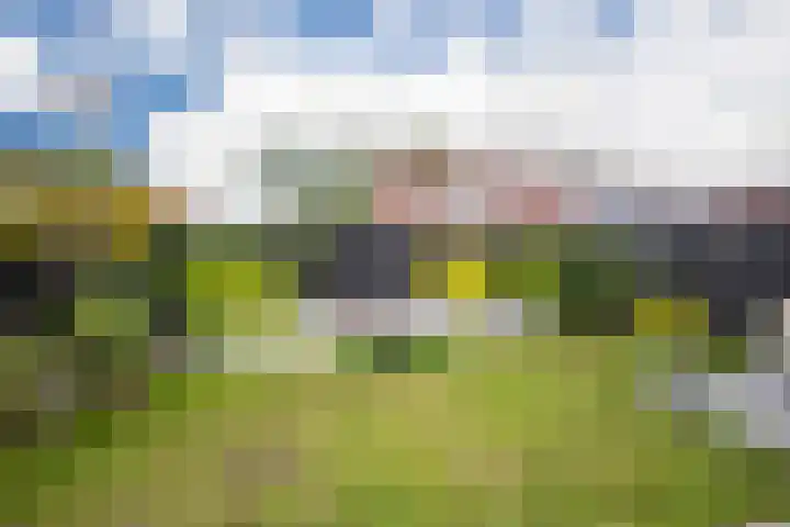 Scheisprong 28 Westervoort thumbnail 32