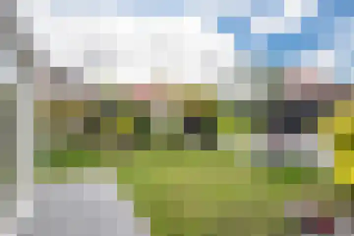 Scheisprong 28 Westervoort thumbnail 33