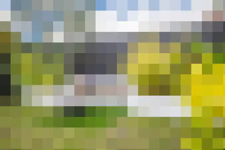 Scheisprong 28 Westervoort thumbnail 35