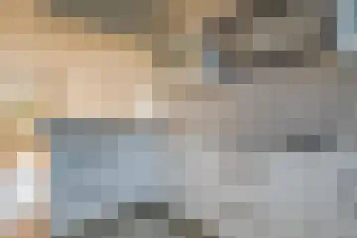 Scheisprong 5 Westervoort thumbnail 18