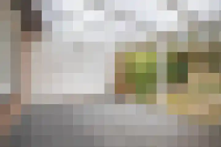 Scheisprong 5 Westervoort thumbnail 22
