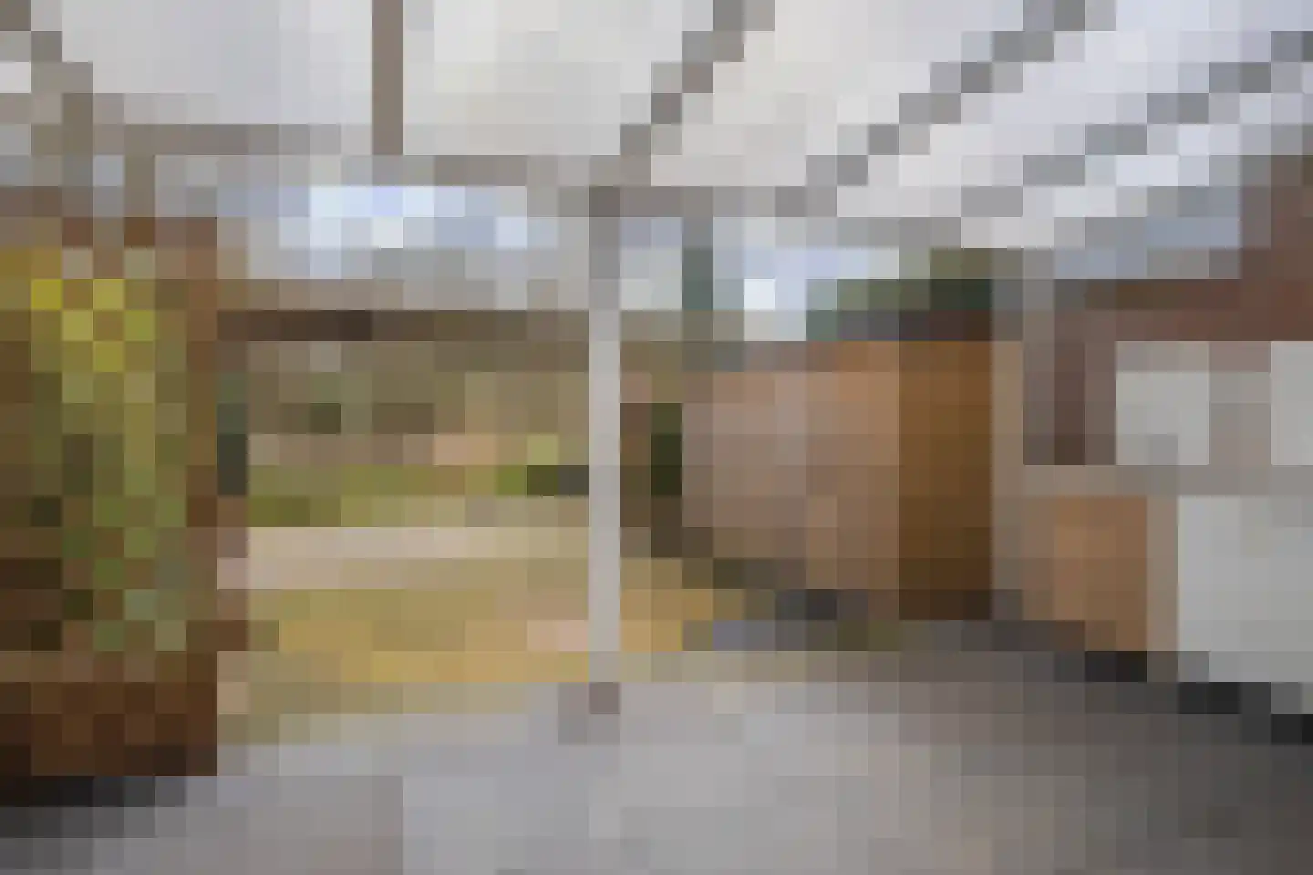 Scheisprong 5 Westervoort thumbnail 23