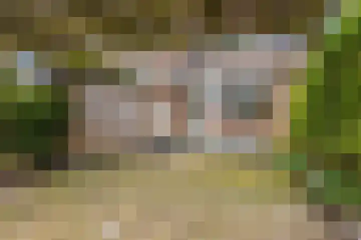 Scheisprong 5 Westervoort thumbnail 24