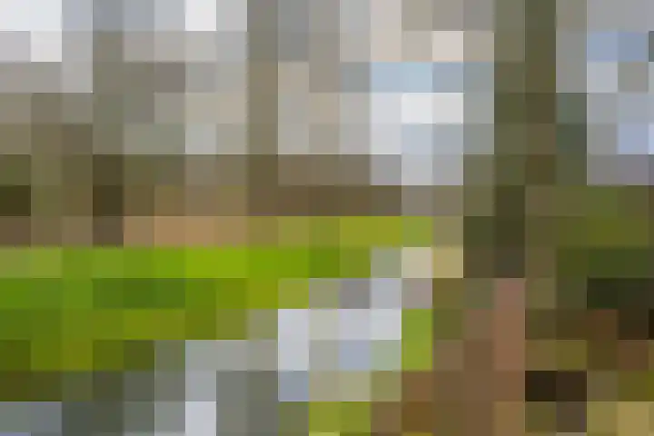 Scheisprong 5 Westervoort thumbnail 28