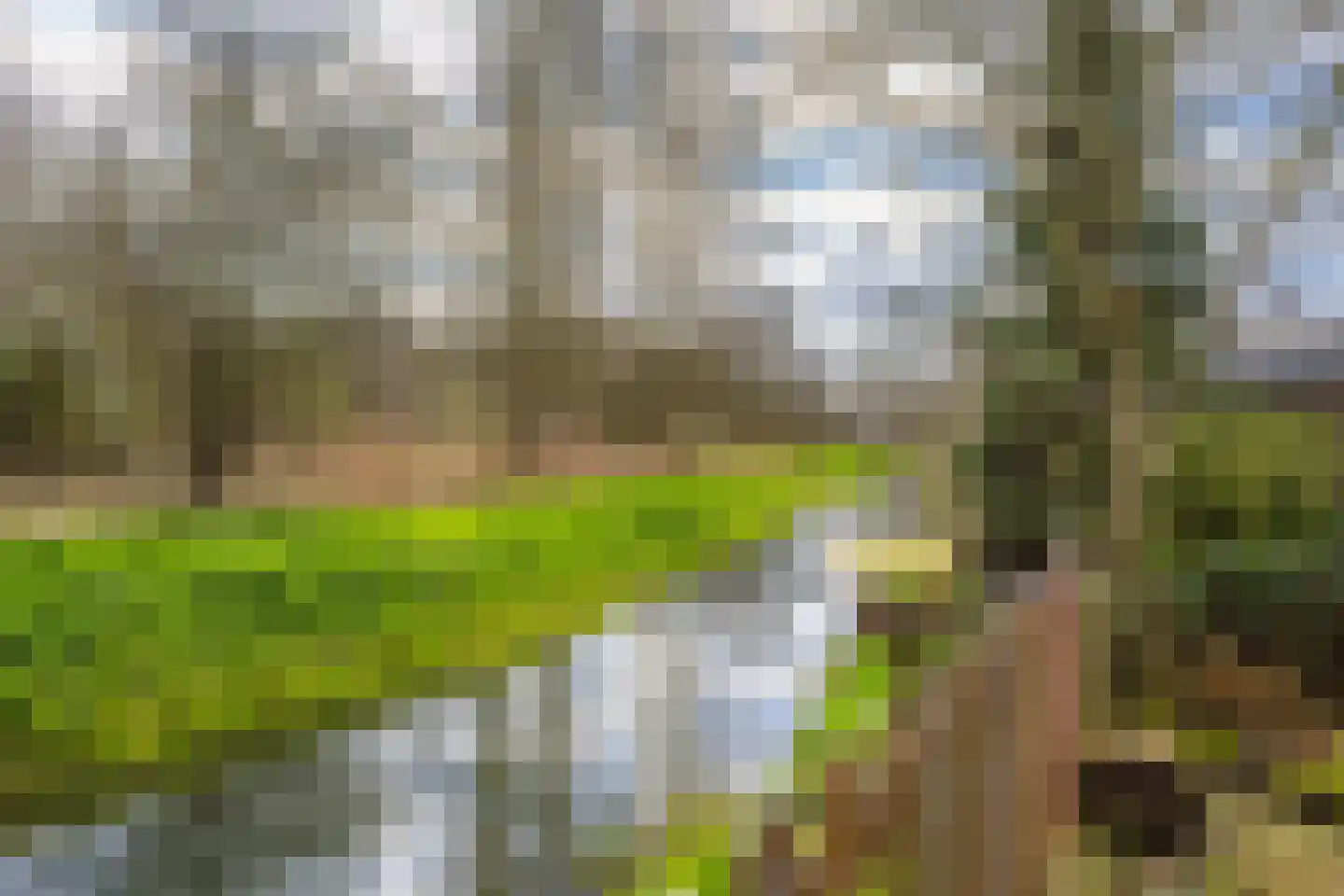 Scheisprong 5 Westervoort thumbnail 28