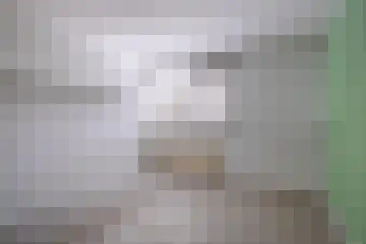 Scheisprong 5 Westervoort thumbnail 30
