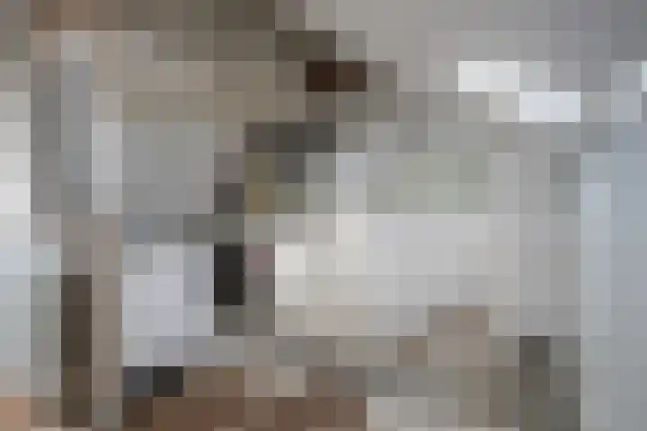 Scheisprong 5 Westervoort thumbnail 35