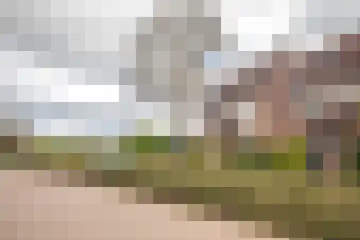 Scheisprong 5 Westervoort thumbnail 6