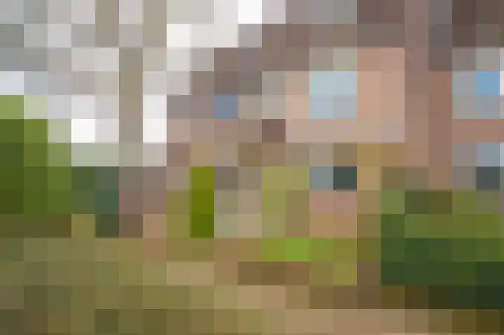 Scheisprong 5 Westervoort thumbnail 8