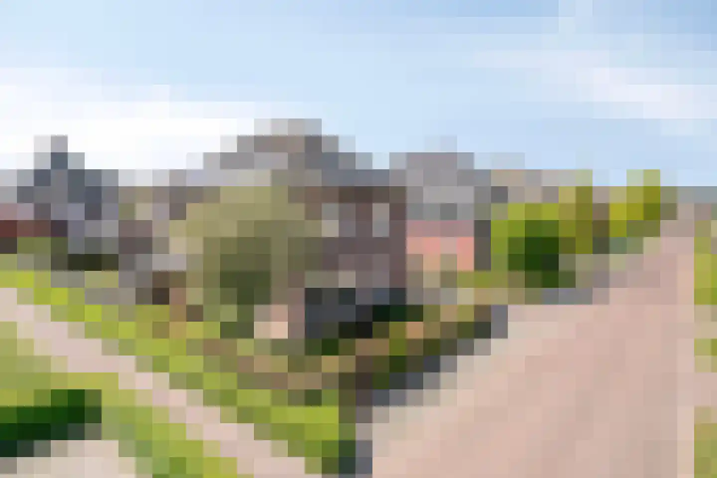Scheisteen 22 Zeeland thumbnail 54