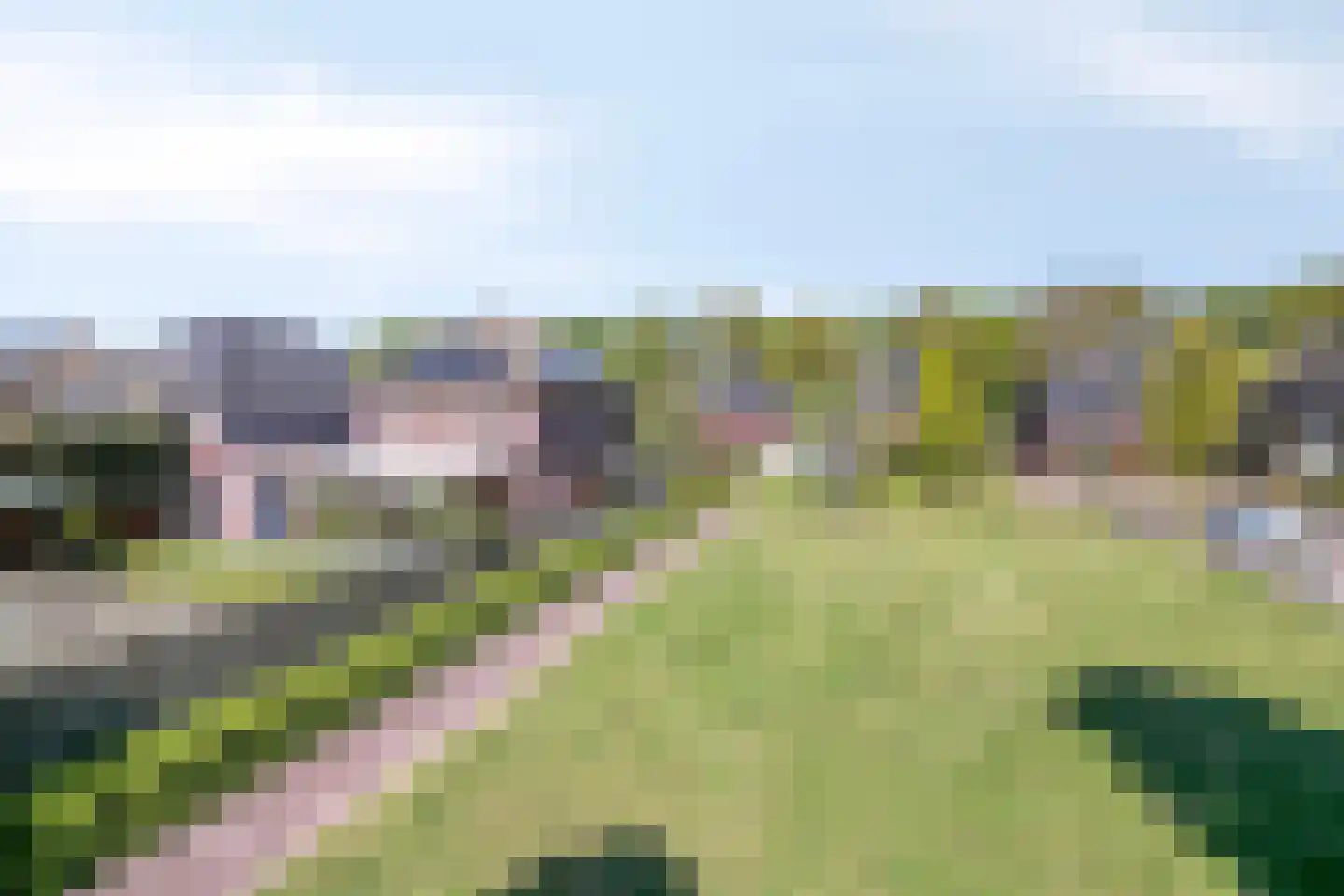 Scheisteen 22 Zeeland thumbnail 55