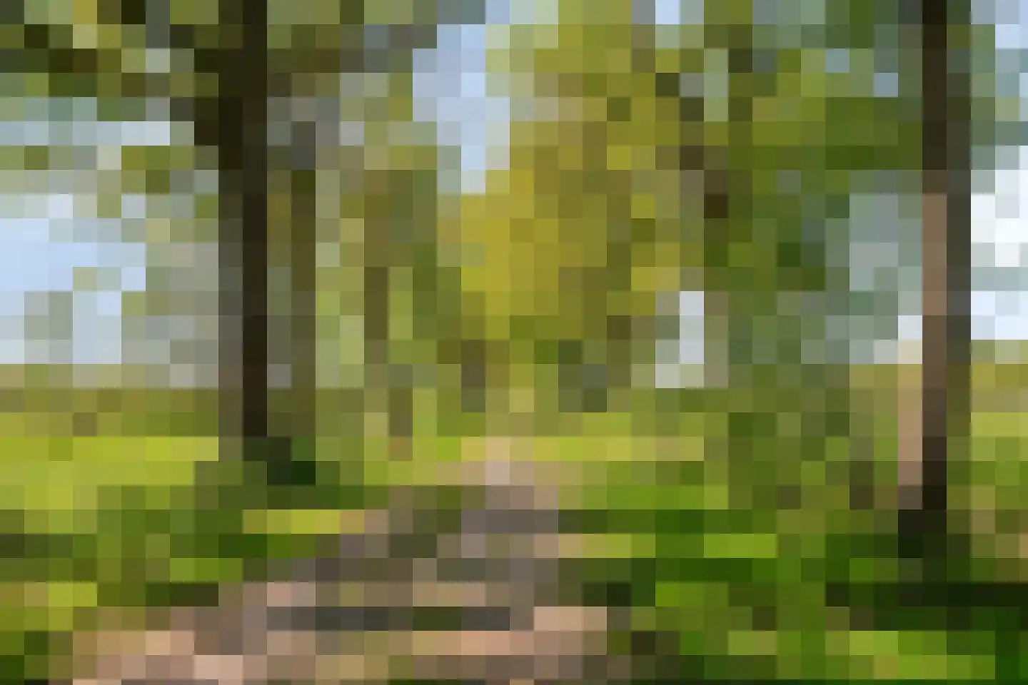 Scheisteen 22 Zeeland thumbnail 57