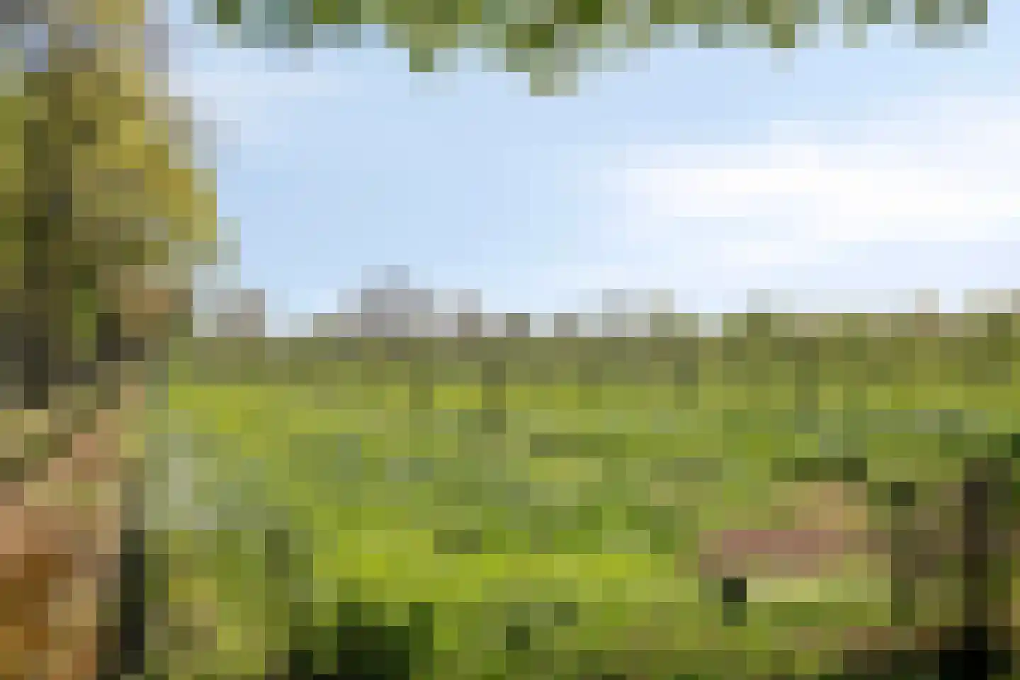 Scheisteen 22 Zeeland thumbnail 58