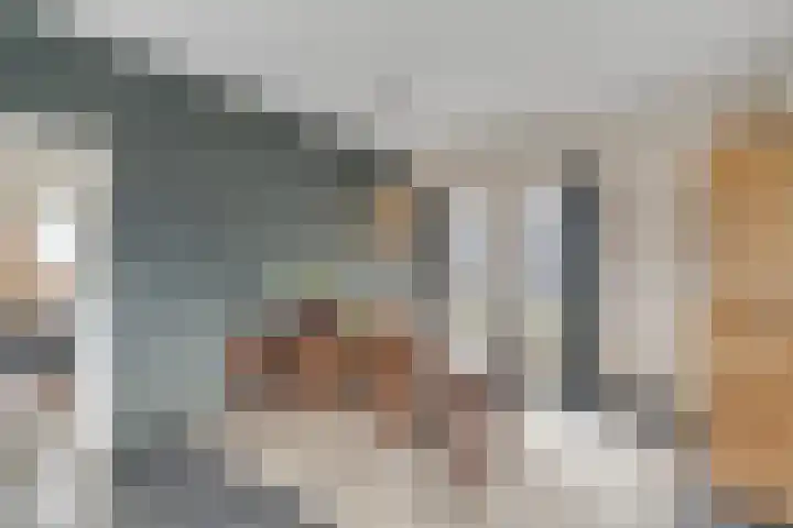 Scheivoor 1 A Ederveen thumbnail 12