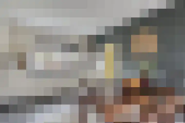 Scheivoor 1 A Ederveen thumbnail 14