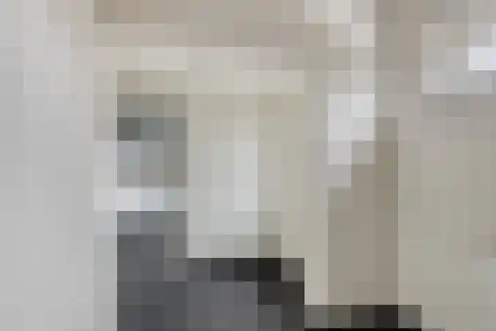 Scheivoor 1 A Ederveen thumbnail 16