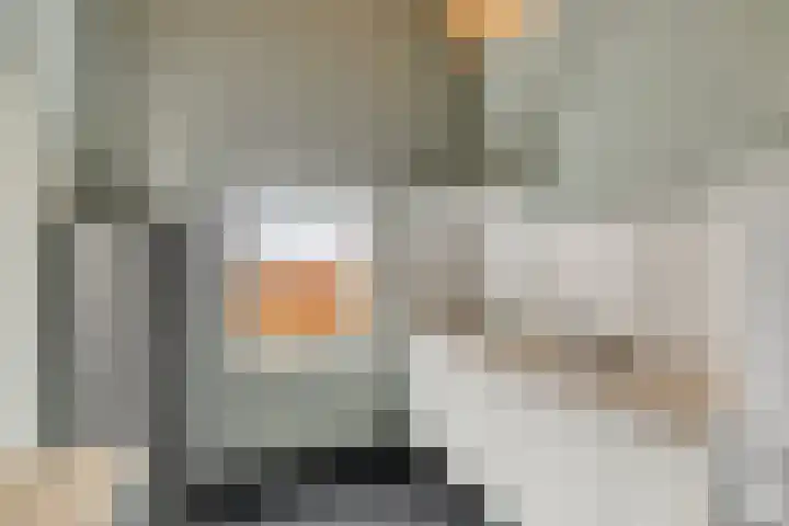 Scheivoor 1 A Ederveen thumbnail 17